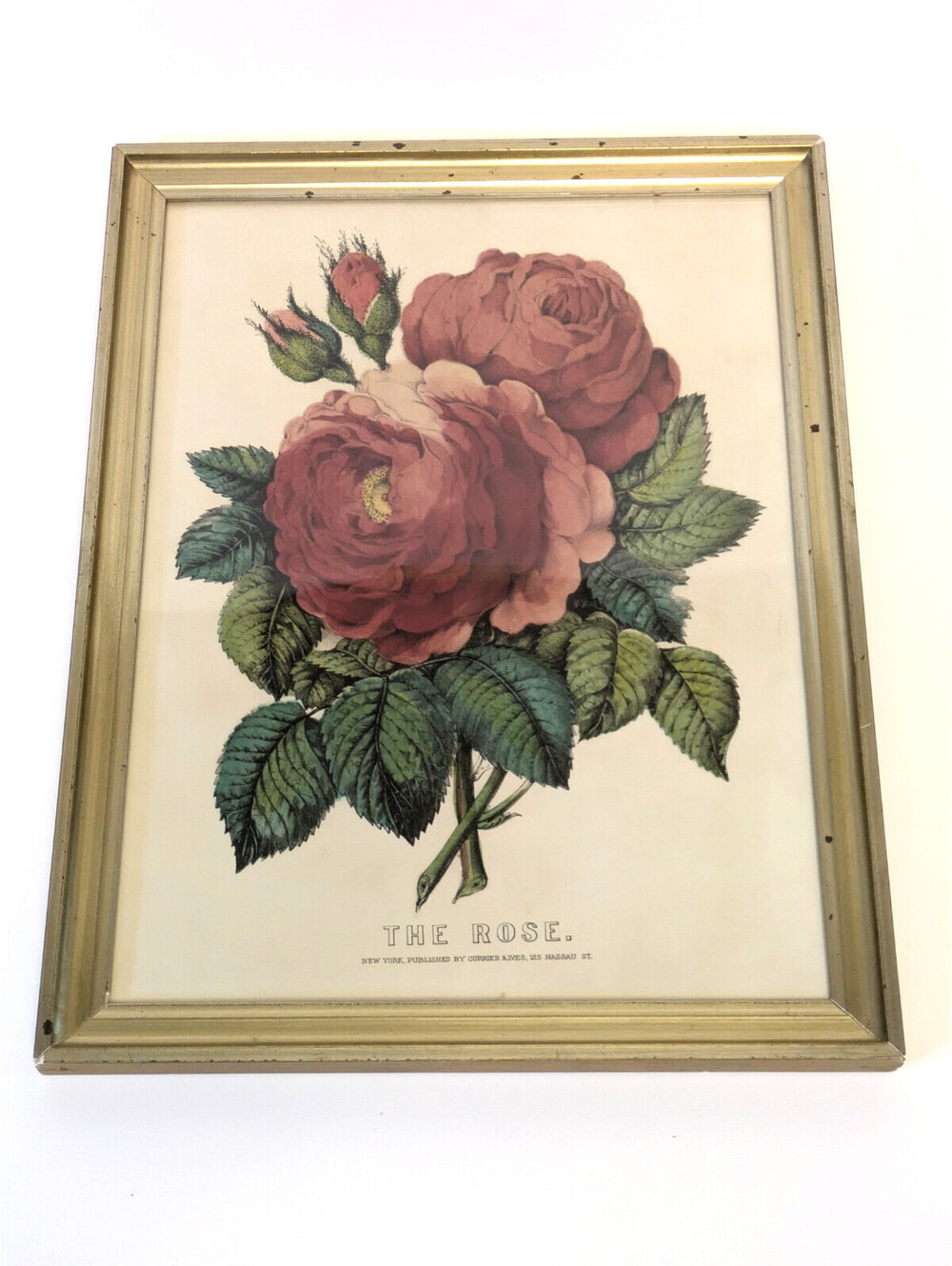 Antique Currier & Ives Hand Colored Lithograph The Rose Floral Print Gold Frame